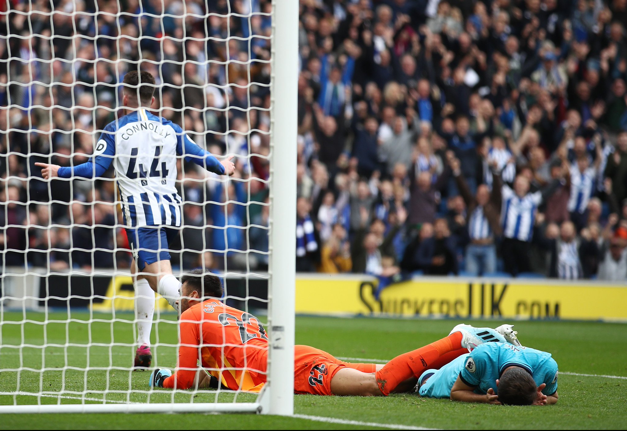 球员及其背 球员及其背