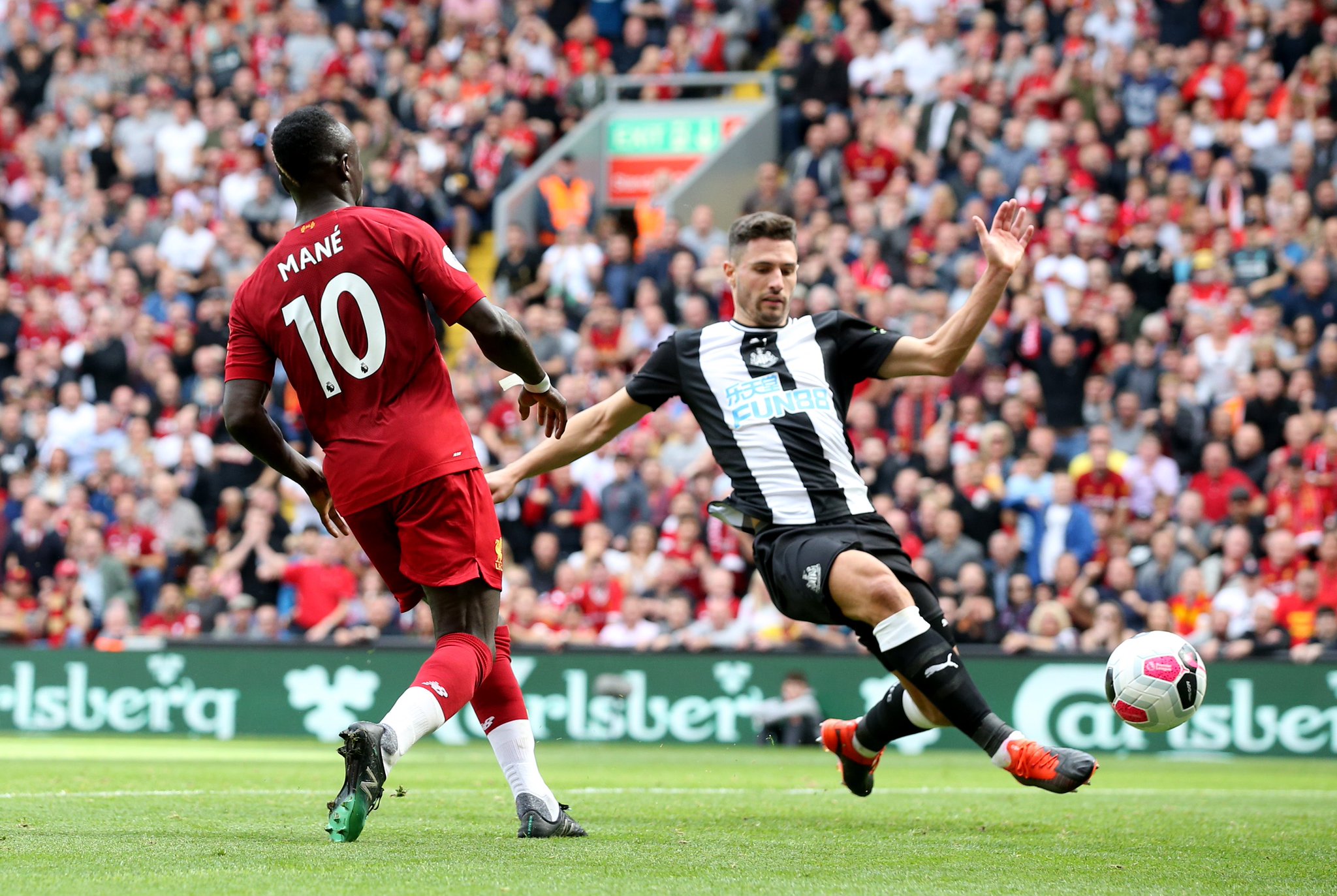 许多冠军球 许多冠军球